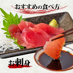 【 訳あり 】 訳ありキハダマグロ1kg