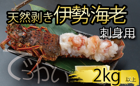 【 伊勢海老 】 伊勢海老刺身用2kg