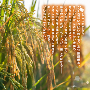 【 コシヒカリ 】 コシヒカリ 5kg