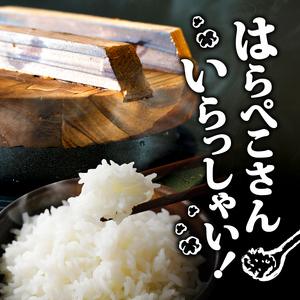 【 コシヒカリ 】 コシヒカリ 5kg