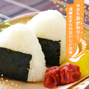 【 コシヒカリ 】 コシヒカリ 5kg