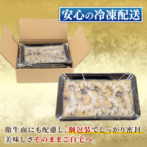 【 ブラックタイガー 】 ブラックタイガー西京漬け