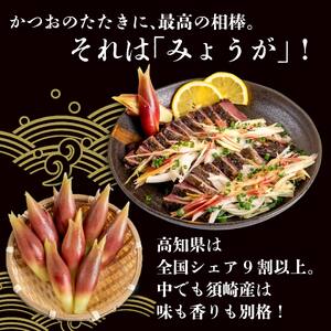 【 みょうが 】 1kg  かつおのたたき に 合う すさきのみょうが