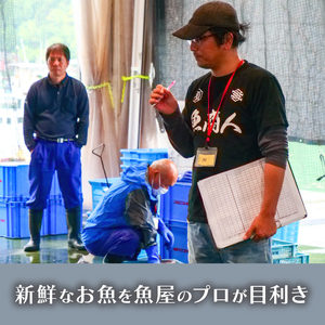 【 フライ 】 フライ鮮魚15切れ