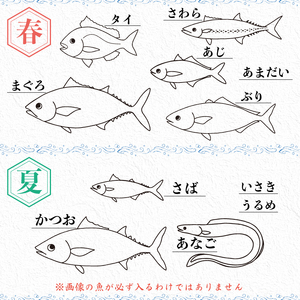 【 鮮魚 】 鮮魚ボックス2kg