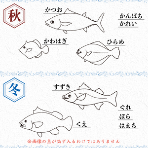 【 鮮魚 】 鮮魚ボックス2kg