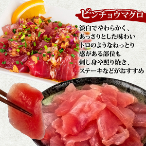 【 訳あり 】 訳ありビンチョウマグロ 1.5kg