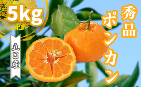 【 ぽんかん 】 ぽんかん 秀品 早期予約 5kg