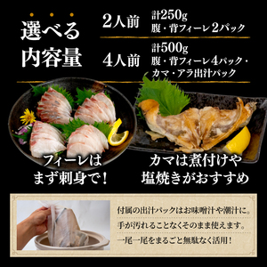 【 シマアジ 】 シマアジ美粕祇万4人前