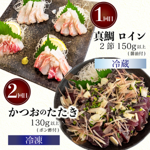 【 刺身 】 刺身定期便4ヶ月