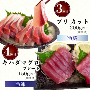【 刺身 】 刺身定期便4ヶ月