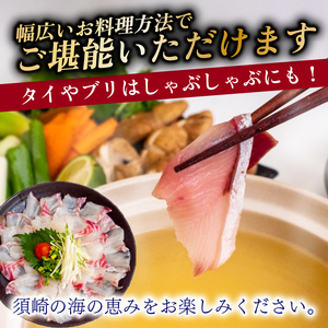 【 刺身 】 刺身定期便4ヶ月