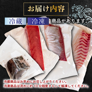 【 刺身 】 刺身定期便4ヶ月