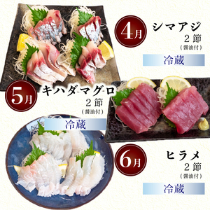 【 刺身 】 刺身定期便12ヶ月