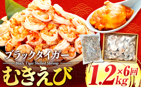 【 えび 】 ブラックタイガー 定期便 約1.2kg × 6回 えび