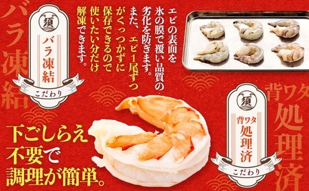 【 えび 】 ブラックタイガー 定期便 約1.2kg × 6回 えび