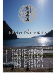 からすみ 本からすみ 130g 高級 珍味 特選 宮進商店謹製 (カラスミ