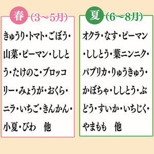 野菜 ･ 果物 10 ～ 13 種類 セット | お楽しみ やさい フルーツ セット 旬 春 夏 秋 冬 採れたて 新鮮 農家 直送 詰め合わせ 国産 季節 フレッシュ 果物 フルーツ ぶどう いちご スイカ きゅうり ピーマン なす トマト 大根 白菜 頒布会 高知県 須崎市