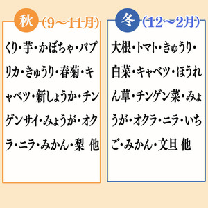 野菜 ･ 果物 10 ～ 13 種類 セット | お楽しみ やさい フルーツ セット 旬 春 夏 秋 冬 採れたて 新鮮 農家 直送 詰め合わせ 国産 季節 フレッシュ 果物 フルーツ ぶどう いちご スイカ きゅうり ピーマン なす トマト 大根 白菜 頒布会 高知県 須崎市