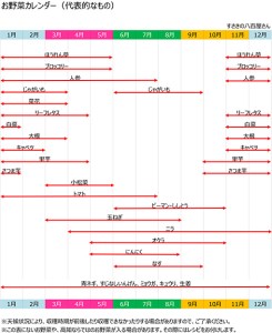 【2025年2月より順次発送】 定期便 6回 野菜 7～8品目 偶数月発送 南国土佐の新鮮お野菜 詰め合わせ お楽しみ セット 数量限定 限定100セット 詰め合わせ 季節 新鮮 産地直送 高知県 須崎市 NK3000