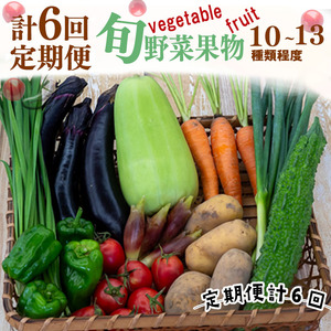 【 定期便 6回 】 野菜 果物 セット 10 から 13 種類 | お楽しみ やさい くだもの フルーツ 果物 セット 旬 春 夏 秋 冬 採れたて 新鮮 農家 直送 詰め合わせ 国産 季節 フレッシュ きゅうり ピーマン なす トマト 大根 白菜 頒布会 高知県 須崎市