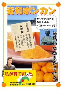 【早期予約開始】 訳あり 安和 ポンカン 家庭用 5kg 柑橘 フルーツ ぽんかん 期間限定 季節限定 発送期間：2025年1月中旬より順次発送 YN001_x