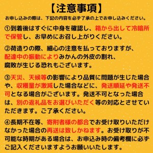 【早期予約開始】 ポンカン 5kg 秀品 安和ポンカン 贈答用 ギフト 高知県 須崎市 柑橘 みかん ぽんかん 高知 須崎 発送期間：2025年1月中旬より順次発送 YN002