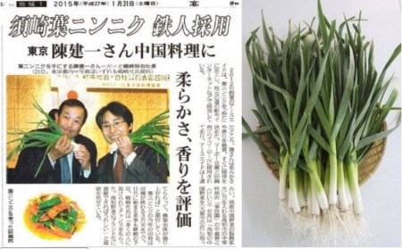 葉 ニンニク 野菜 ソース 和風 2種 調味料 酢味噌 さっぱり コク 無添加 有機野菜 健康食品 高知県 須崎市