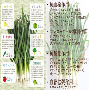 【 餃子 】 餃子6個入り×2パック