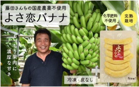 無農薬 冷凍 バナナ パック 800g 国産 藤田さんちの無農薬バナナ 化学 
