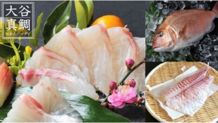 【 お刺身セット 】 お刺身セット葉にんにく タレ付