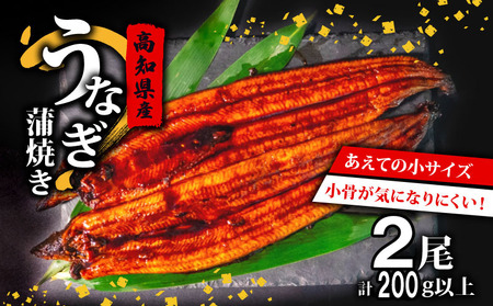 うなぎ 国産 高知県産 鰻 蒲焼き 100g～120g×2尾 セット 蒲焼きのタレ