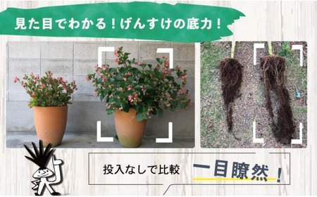 【 家庭菜園 】 土壌改良材 家庭菜園 20L 1袋 40L 1袋