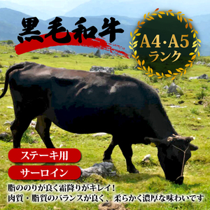 サーロインステーキ 440g ( 220g × 2枚 ) 土佐 黒毛 和牛 | サーロイン肉 最上位等級 A4 A5 最高 ランク 厚切り ステーキ用 焼肉用 キャンプ飯 国産 牛肉 高知県 須崎市 TM010