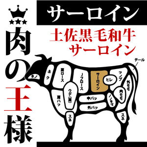 サーロインステーキ 440g ( 220g × 2枚 ) 土佐 黒毛 和牛 | サーロイン肉 最上位等級 A4 A5 最高 ランク 厚切り ステーキ用 焼肉用 キャンプ飯 国産 牛肉 高知県 須崎市 TM010