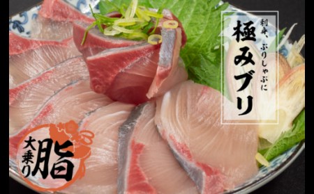 ぶり 鰤 1 1 2kg 半身 魚 鮮魚 ブランド 極みブリ カマ付き 刺身 ブリしゃぶ 鍋 新鮮 高知県 須崎市 高知県須崎市 ふるさと納税サイト ふるなび ぶり 鰤 1 1 2kg 半身 魚 鮮魚 ブランド 極みブリ カマ付き 刺身 ブリしゃぶ 鍋 新鮮 高知県 須崎市 高知県須崎市 ふるさと納税サイト ふるなび