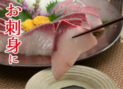 ぶり 鰤 半身 柵 2パック 下処理有 魚 鮮魚 ブランド 極みブリ 刺身 ブリしゃぶ 鍋 新鮮 高知県 須崎市 高知県須崎市 ふるさと納税サイト ふるなび