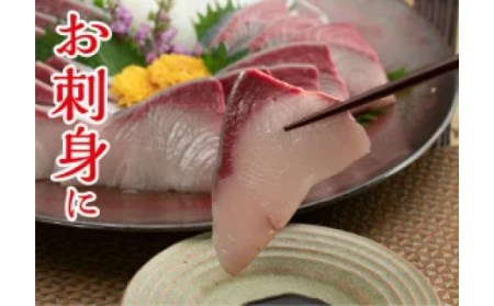 ぶり 鰤 丸ごと一本 4 5kg 下処理有 魚 鮮魚 ブランド 極みブリ 刺身 ブリしゃぶ 鍋 新鮮 高知県 須崎市 高知県須崎市 ふるさと納税サイト ふるなび