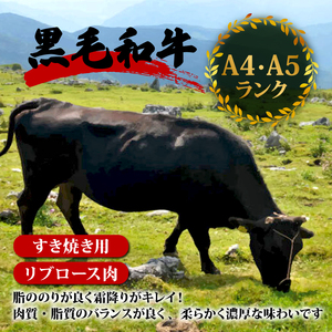 土佐 黒毛 和牛 すき焼き用 1kg | 特撰 リブロース肉 最上位等級 A4 A5 最高ランク 贅沢 すきやき スキヤキ用牛肉 鍋 焼肉用牛肉 霜降り牛肉 焼肉 バーベキュー牛肉 BBQ 牛肉 冷凍 お歳暮 ギフト小分け 冷凍 国産 牛肉 高知県 須崎 TM014