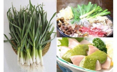 【 にんにく 】 葉にんにく 150g 4袋