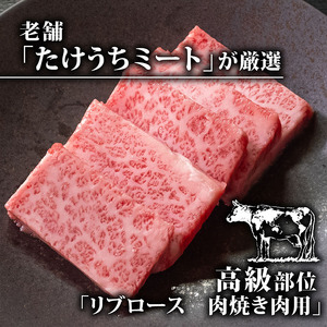 土佐 黒毛 和牛 焼肉用 500g | リブロース ロース 最上位等級 A4 A5  焼き肉 やきにく 小分け 冷凍 国産 ブランド 和牛 牛肉 大人気 ギフト おすすめ ランキング バーベキュー 高知県 須崎 TM009