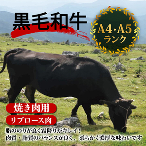 土佐 黒毛 和牛 焼肉用 500g | リブロース ロース 最上位等級 A4 A5  焼き肉 やきにく 小分け 冷凍 国産 ブランド 和牛 牛肉 大人気 ギフト おすすめ ランキング バーベキュー 高知県 須崎 TM009