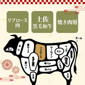 土佐 黒毛 和牛 焼肉用 500g | リブロース ロース 最上位等級 A4 A5  焼き肉 やきにく 小分け 冷凍 国産 ブランド 和牛 牛肉 大人気 ギフト おすすめ ランキング バーベキュー 高知県 須崎 TM009