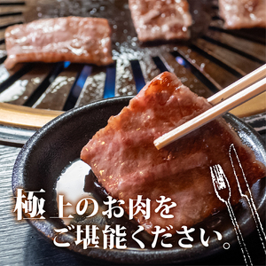 土佐 黒毛 和牛 焼肉用 500g | リブロース ロース 最上位等級 A4 A5  焼き肉 やきにく 小分け 冷凍 国産 ブランド 和牛 牛肉 大人気 ギフト おすすめ ランキング バーベキュー 高知県 須崎 TM009