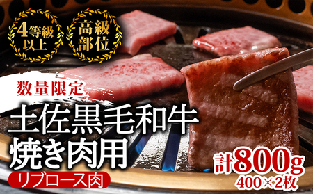 土佐 黒毛 和牛 焼肉用 800g （ 400g × 2 ） | リブロース ロース 最上位等級 A4 A5  焼き肉 やきにく 小分け 冷凍 国産 ブランド 和牛 牛肉 大人気 ギフト おすすめ ランキング バーベキュー 高知県 須崎 TM016