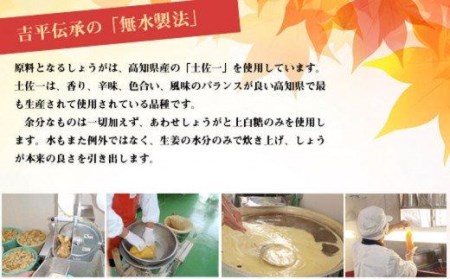 しょうが 生姜 土佐のあわせしょうが 3本 調味料 飲料用 高知県 須崎市