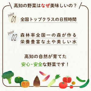 定期便 野菜 6回 7~8品程度 6か月 詰め合わせ セット 毎月お届け 半年間 高知県 須崎市