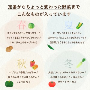定期便 野菜 6回 7~8品程度 6か月 詰め合わせ セット 毎月お届け 半年間 高知県 須崎市