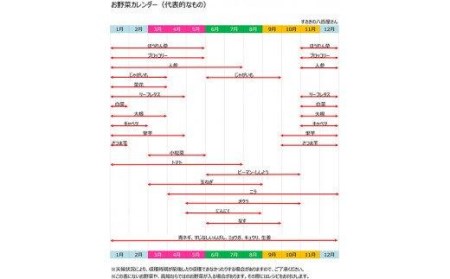 【2025年1月より順次発送】 野菜 詰め合わせ 産地直送 セット (8～10品) 日時指定 可能 南国 土佐の新鮮 お野菜 やさい ベジタブル 旬 季節野菜 詰め合わせ 国産 人気 須崎 高知 すさきの八百屋さん NK006