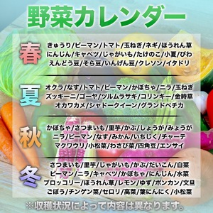 【 無農薬 】 無農薬野菜 6回定期便 6ヶ月 13品
